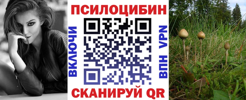 блэк спрут маркетплейс  Чёрмоз  Галлюциногенные грибы мицелий  как найти  